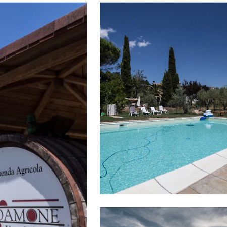 Le Stanze Di Zelinda Villa Suvereto Exterior foto